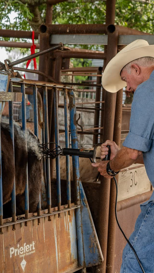 Cowboy Day on Our Texas Ranch: The 3C Joppa Wagyu Difference
