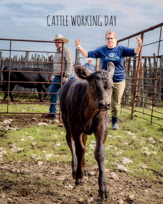 How Our Wagyu Beef Ships from Texas Ranch to Your Doorstep