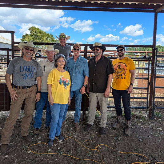 Behind the Scenes at 3C Joppa: A Successful Cattle Working Day