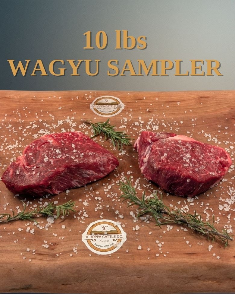 Two pieces of Wagyu beef (filet mignon) on a wooden cutting board with salt and herbs, labeled '10 Lbs Wagyu Sampler'.