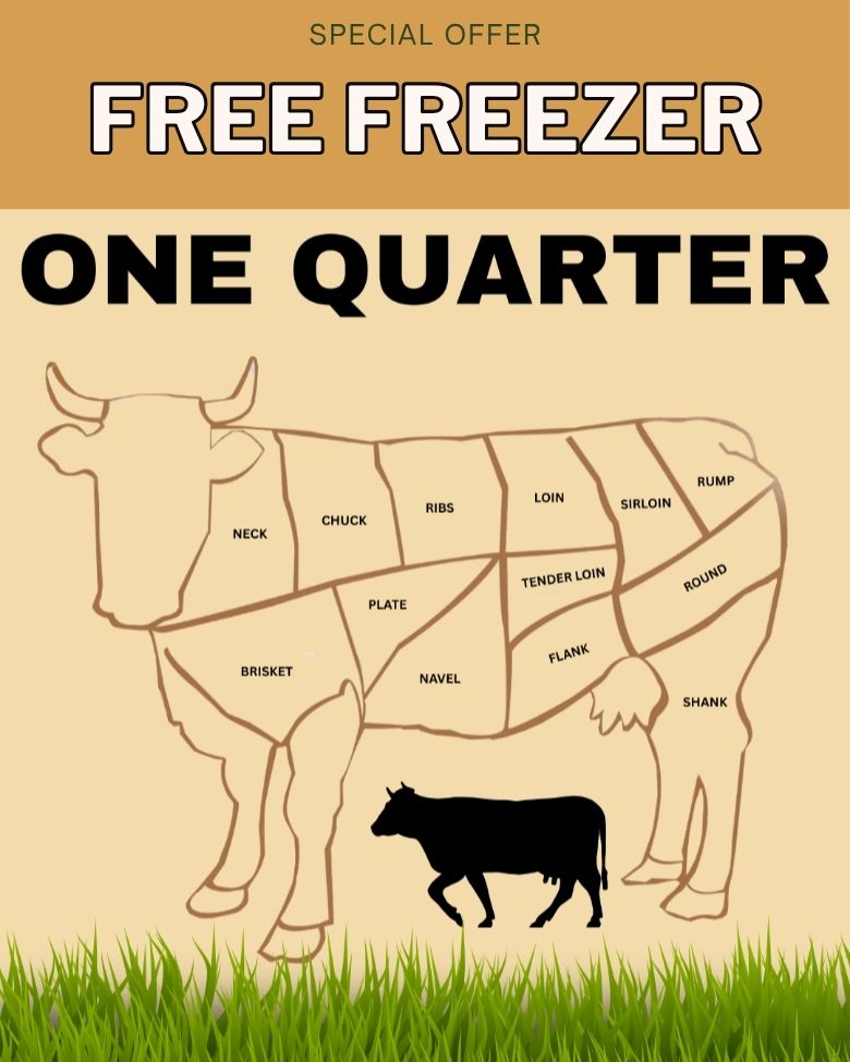 Grass-fed American Wagyu Beef Box – assorted premium Texas beef cuts, pasture-raised and vacuum-sealed for freshness