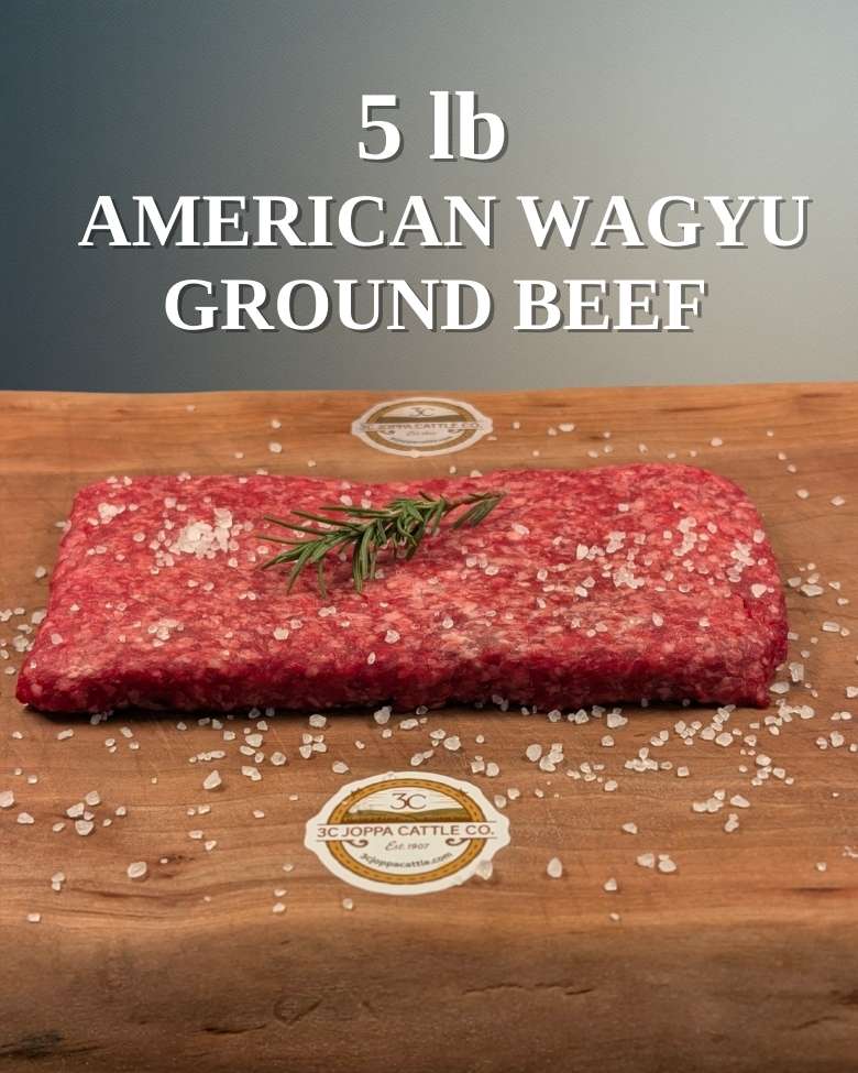 5 lbs of Grass-fed premium American Wagyu Ground Beef - 3C Joppa Cattle Company, LLC