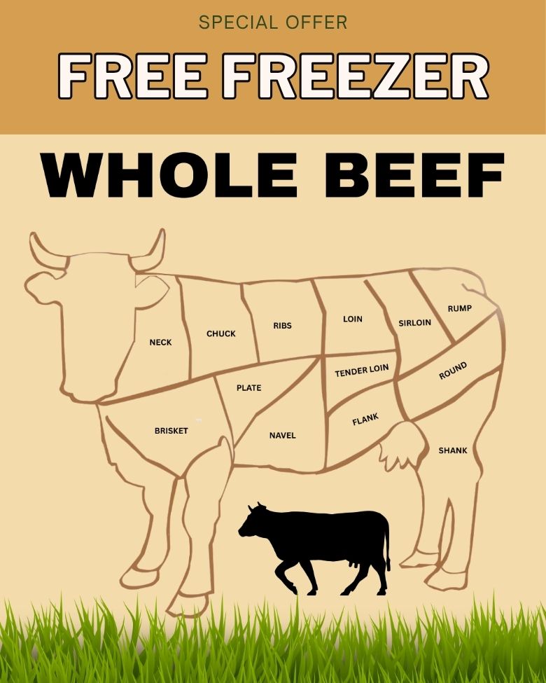 Grass-fed American Wagyu Beef Box – assorted premium Texas beef cuts, pasture-raised and vacuum-sealed for freshness