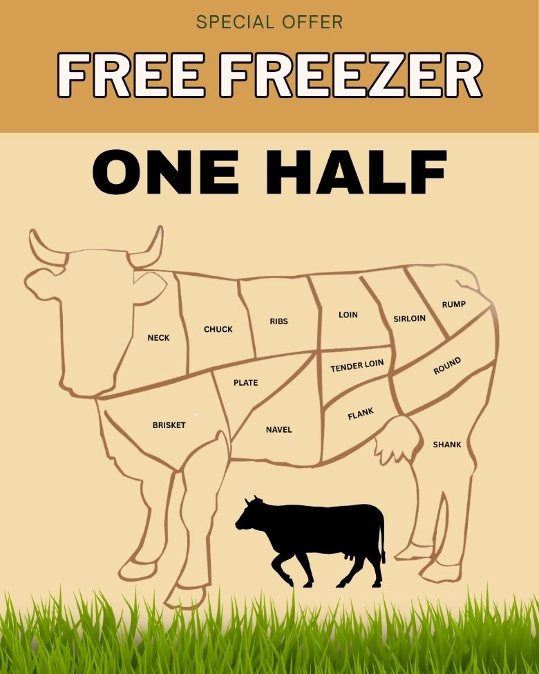 half cow american wagyu beef