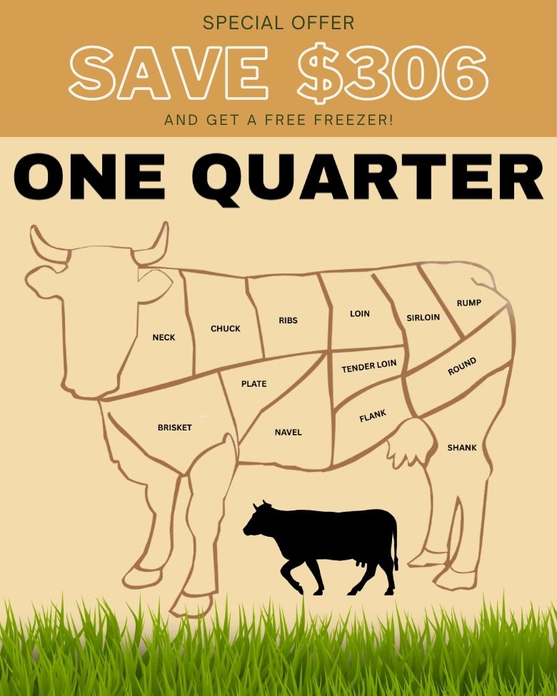 ONE QUARTER Premium Grass-Fed American Wagyu Bulk Beef - Save $306!