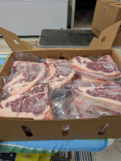 New! American Wagyu T-Bone