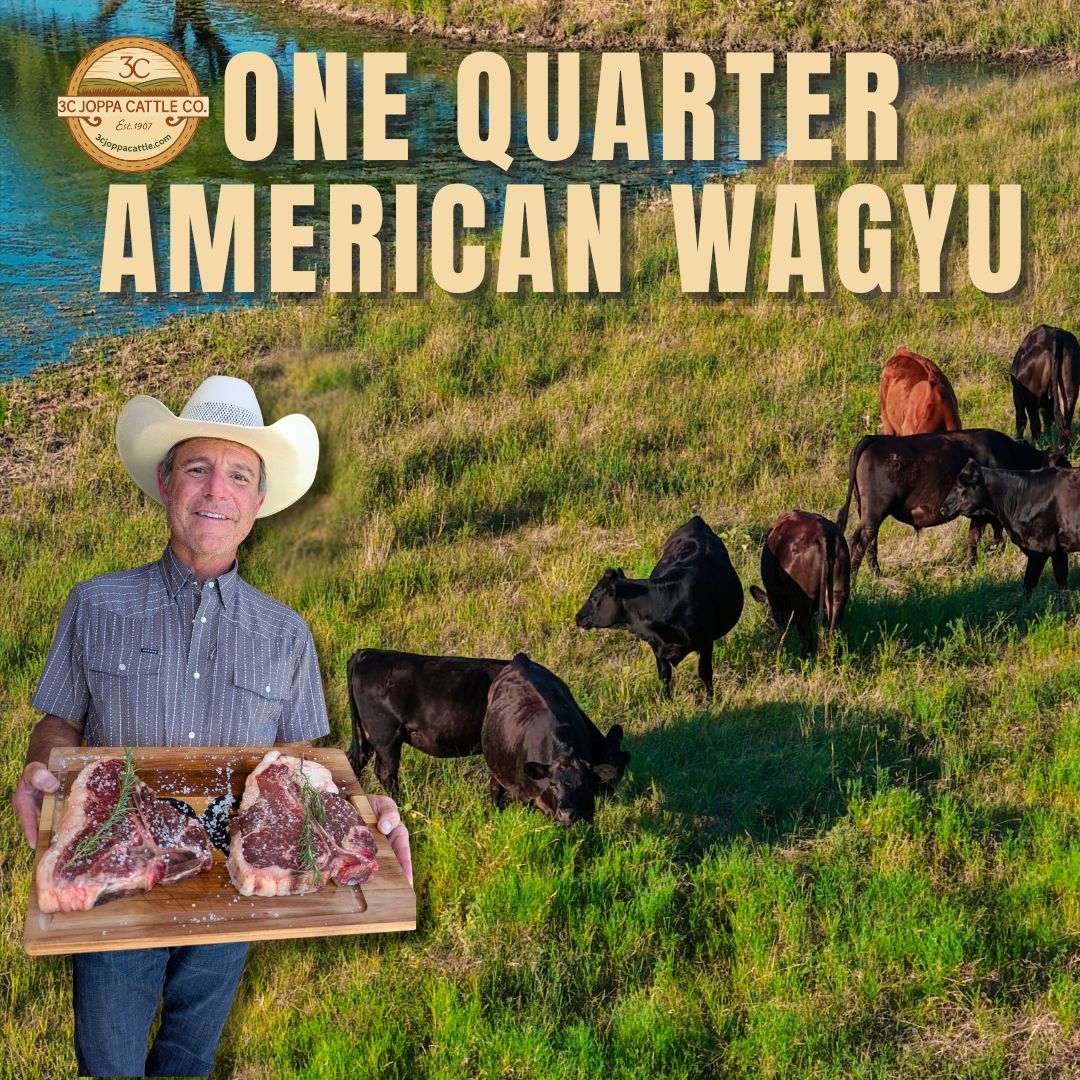 promotional image with texas rancher holding steak and advertising one quarter beef