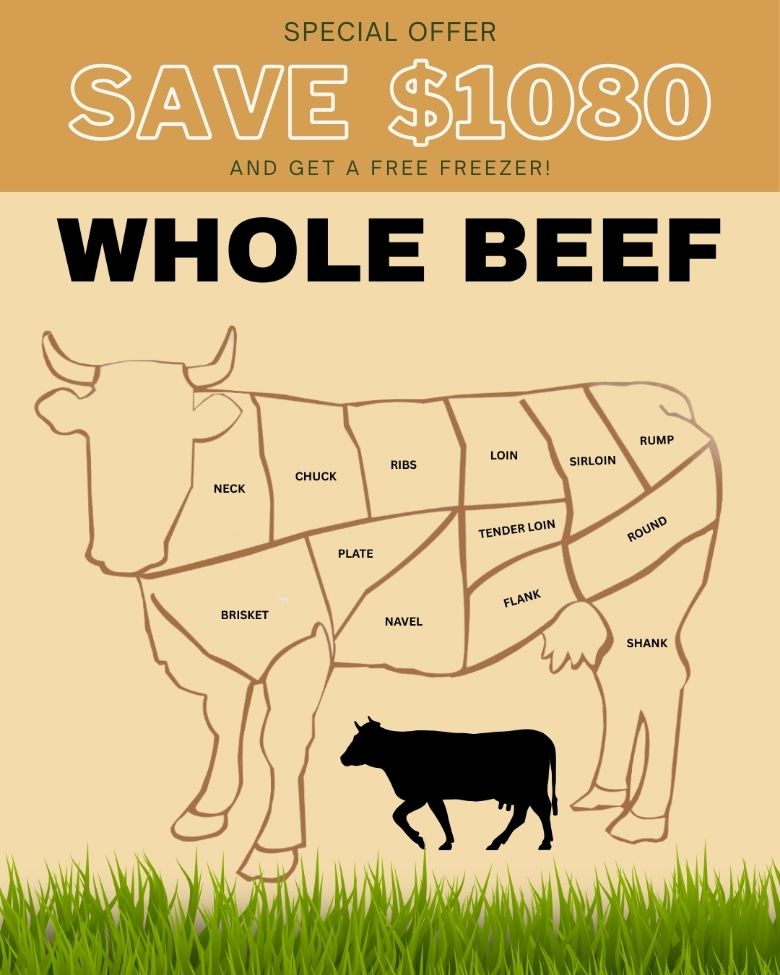WHOLE BEEF Premium Grass-Fed American Wagyu Bulk Beef - Save $1080!